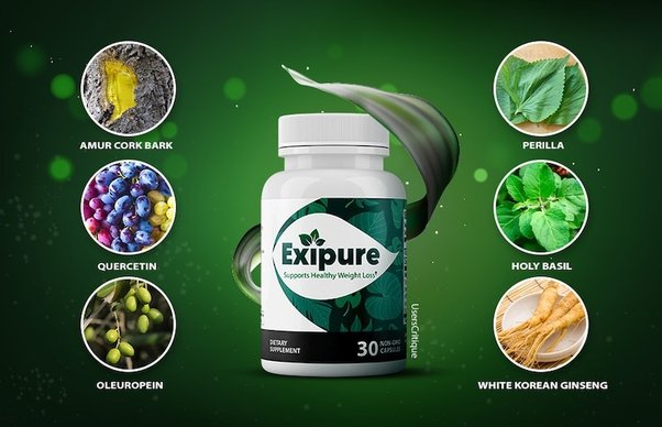 exipure ingredients